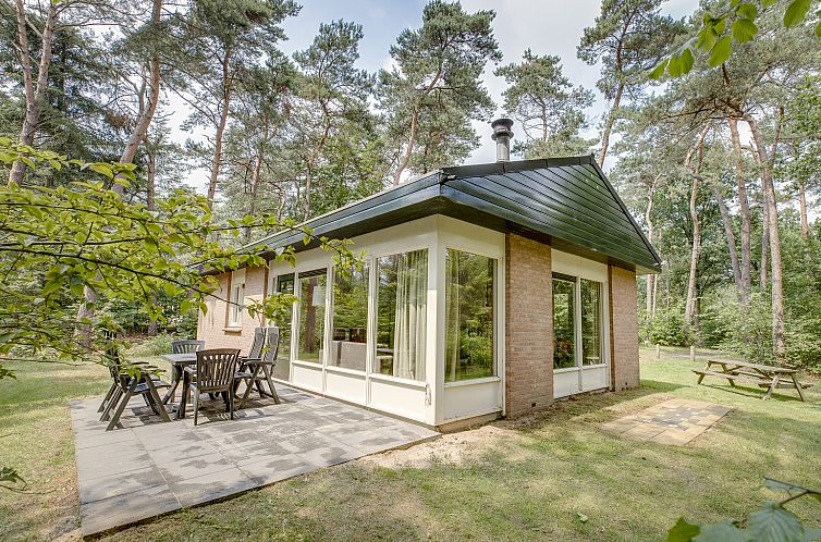 Heideheuvel | 6-persoons kinderbungalow - 6CK1 | 6CK