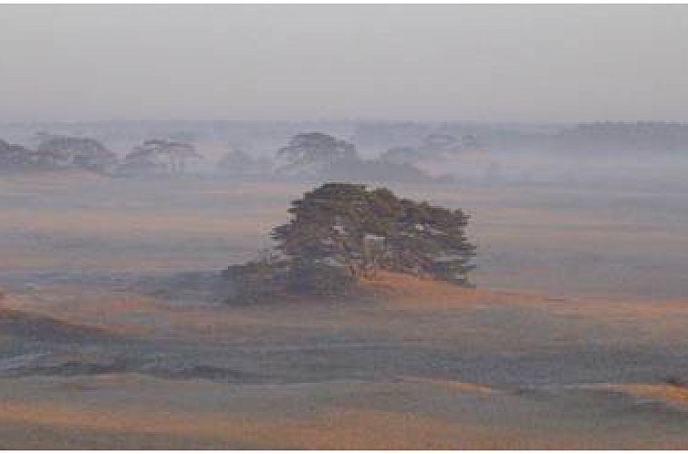 Stacaravan op de Veluwe