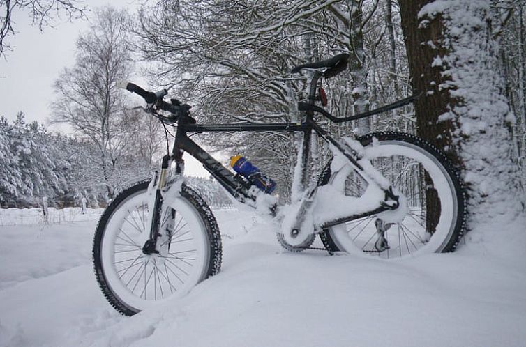 Vakantiehuisje in Kootwijk