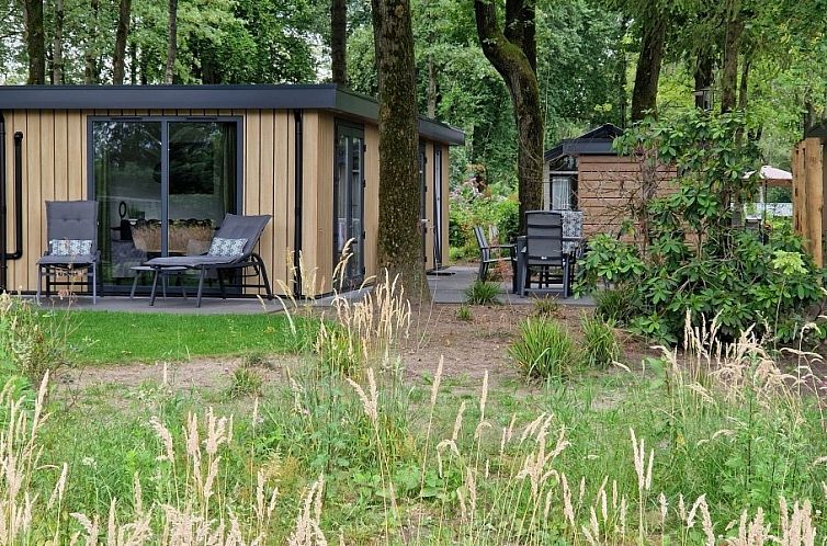 In the forest edge Wood 386 Bospark Ede chalet with terrace in Ede, Veluwe, surrounded by green nature.