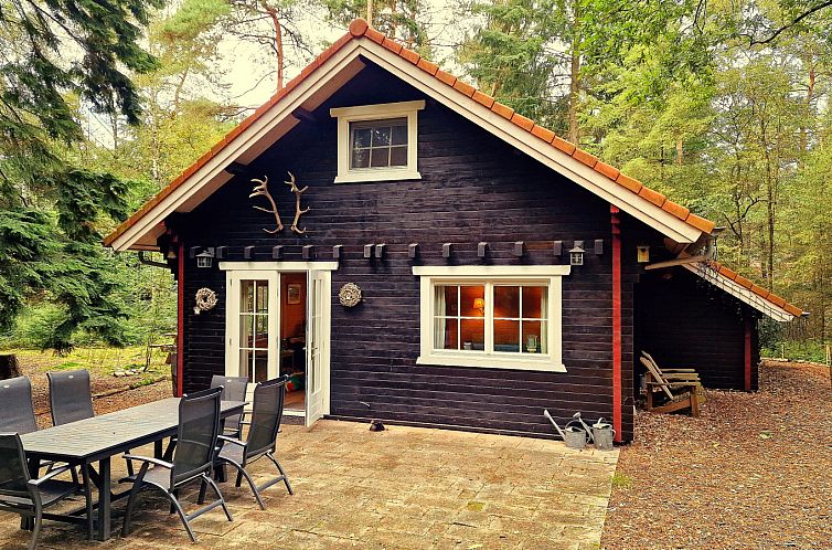 DG1298 vakantiehuis in Emst, Veluwe met ruim terras en bosrijke omgeving.