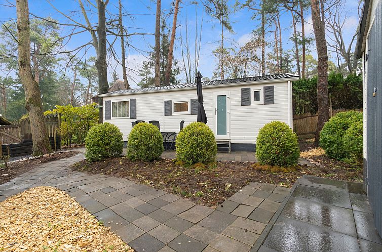 Unterkunft 320866 - Chalet Veluwe - De Havik
