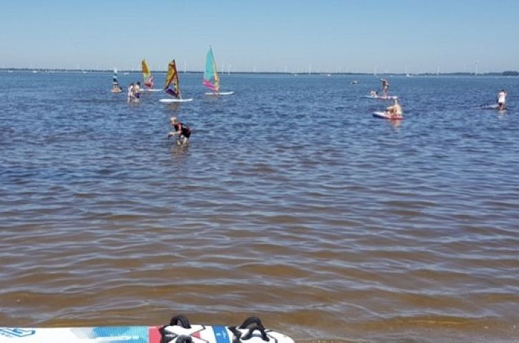 Veluwe aan Zee Strand Horst met de sfeer van Venice Beach