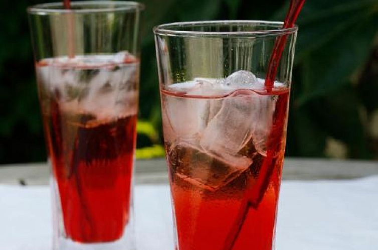 Hotel Krone Überlingen am Ried