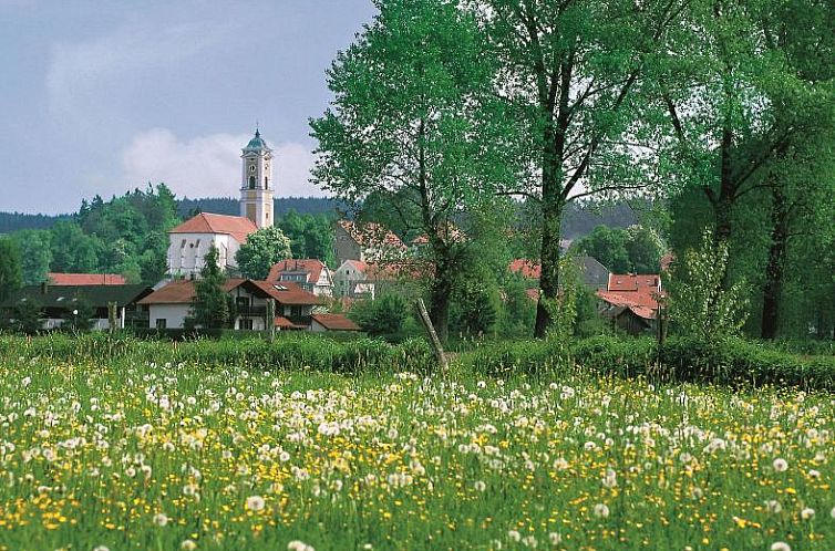 Best Western Aparthotel Birnbachhöhe