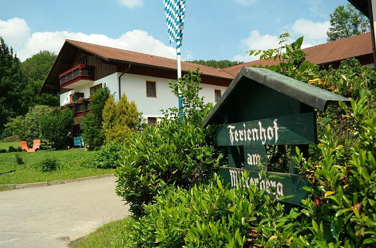 Unterkunft 32103326 - Appartement Bayern - Ferienhof am Mitterberg