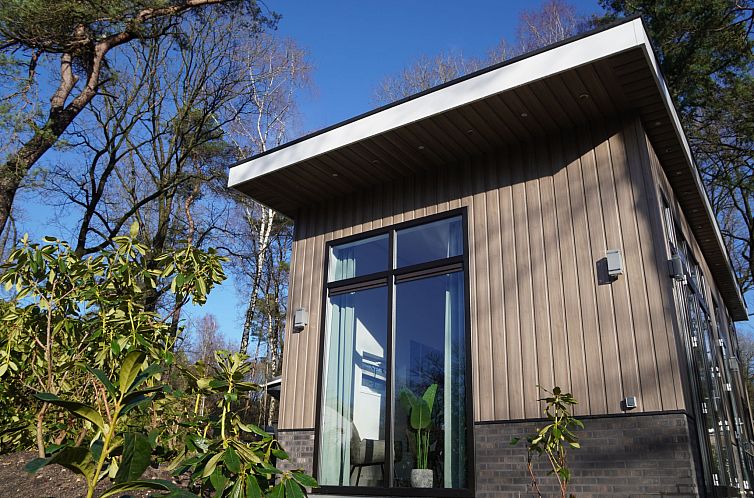 Vakantiehuis Tiny House