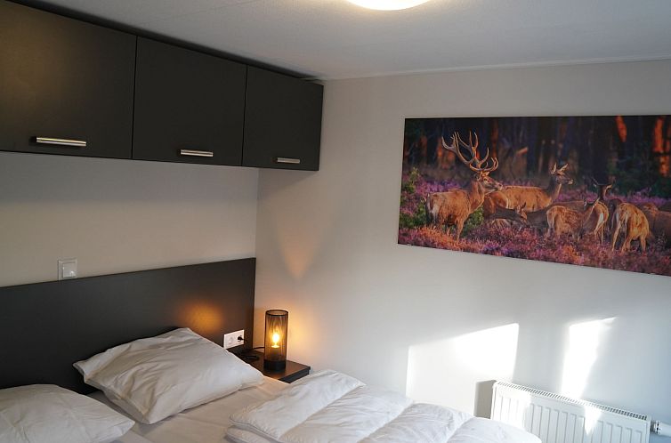 Vakantiehuis Tiny House