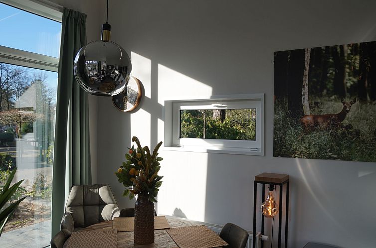 Vakantiehuis Tiny House