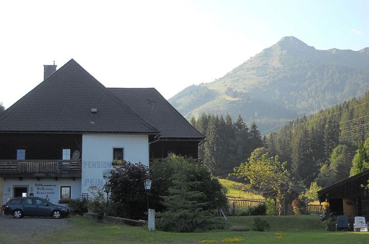 Guest house 3211503 - Holiday property Steiermark - Pension Pein