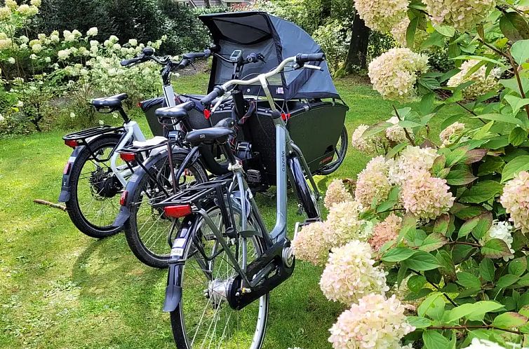 Bosbungalow Garderen