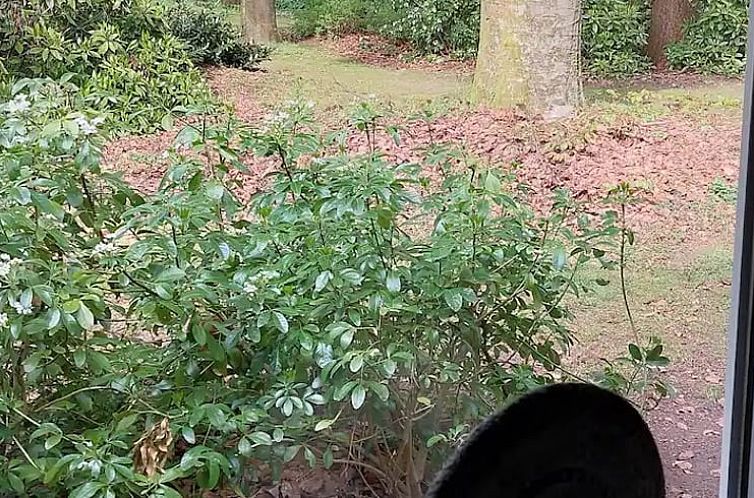 Vakantiehuis in Garderen