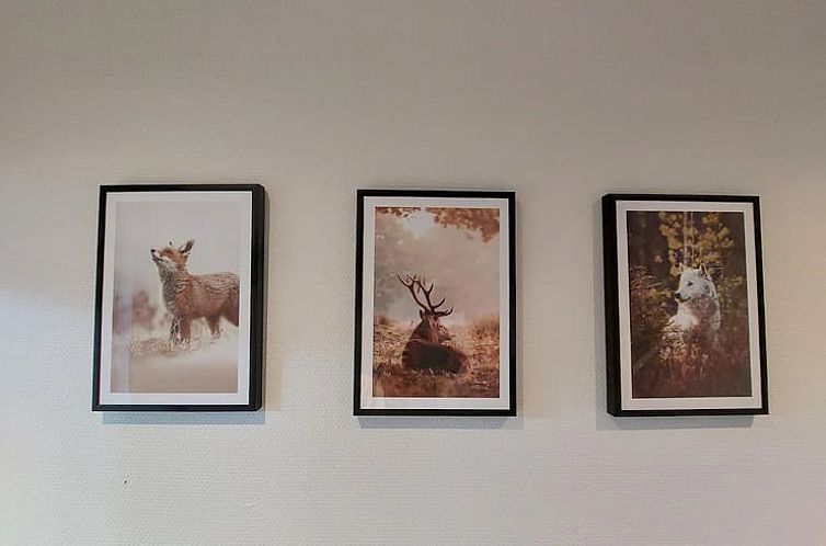 Vakantiehuis in Garderen