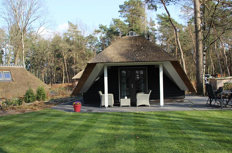 Vakantiewoning Sprielderbosch 29 'Casa Esther' op de Veluwe, charmante buitenkant met rieten dak in Putten, Gelderland.