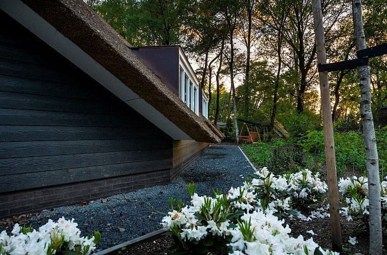 Vakantiewoning Sprielderbosch 29 "Casa Esther" op de Veluwe
