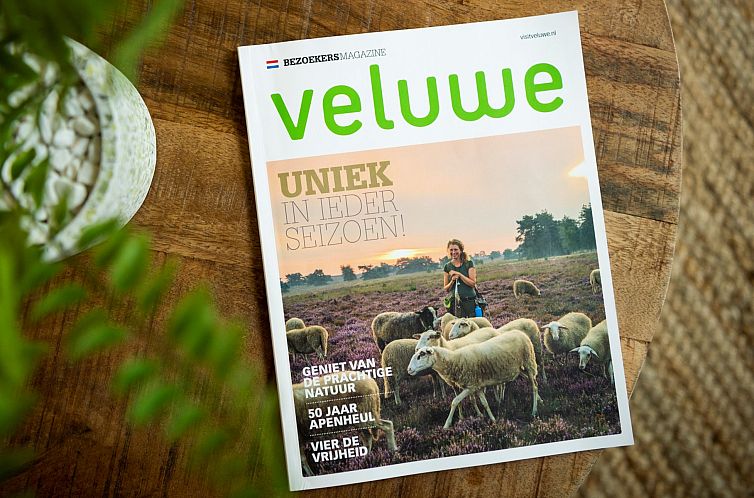 Vakantiewoning Sprielderbosch 29 "Casa Esther" op de Veluwe