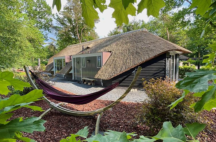 Vakantiewoning Sprielderbosch 46 "De Zonnehoed" op de Veluwe