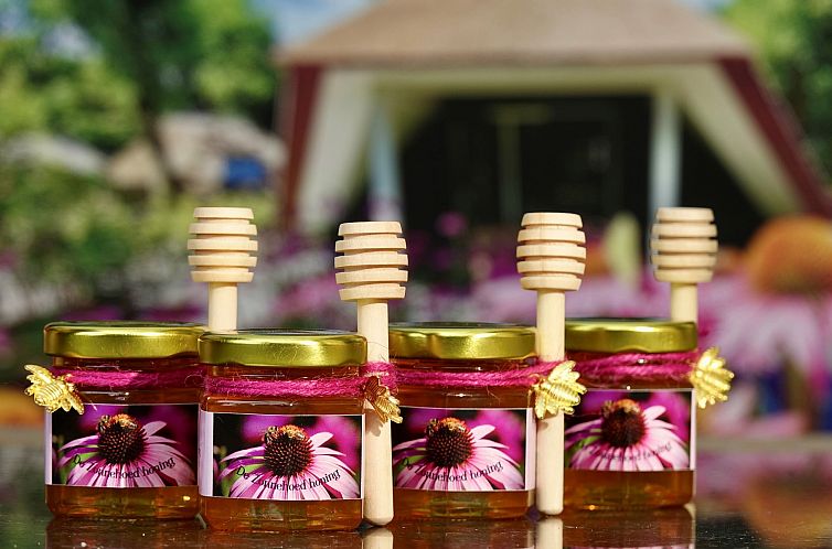 Vakantiewoning Sprielderbosch 46 "De Zonnehoed" op de Veluwe