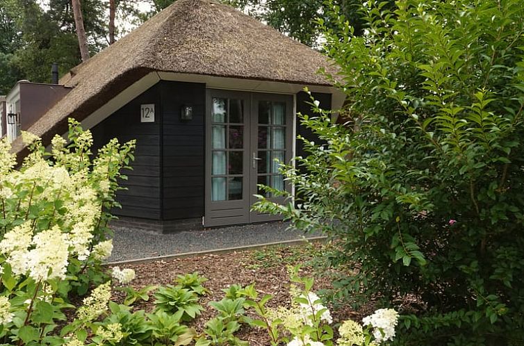 Charming vacation home in Putten, Veluwe with thatched roof and green garden in Gelderland.