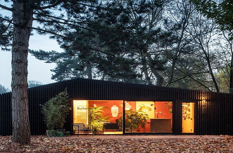 Outdoor 2+2 vacation home in Otterlo, Veluwe, Gelderland, surrounded by autumn leaves and trees, offers a serene nature experience.