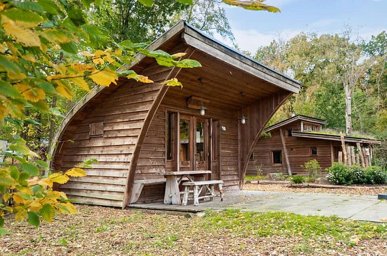 Geurt 4 vakantiehuis in Otterlo, Veluwe, Gelderland, omringd door natuur met houten terras en moderne architectuur.