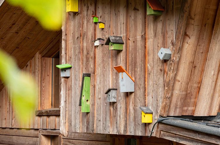 «Nature Lodge»