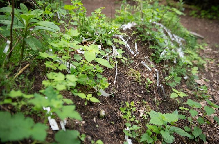 Vakantiehuis in Otterlo