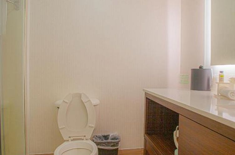 Holiday Inn & Suites Spring - The Woodlands