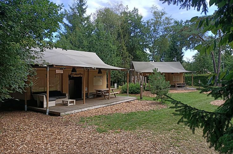 Enjoy peace and quiet in Glampingtent 5, a luxury safari tent in Otterlo, Veluwe, surrounded by lush nature and serene forests in Gelderland.