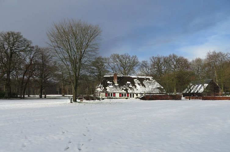 Vakantiehuis in Epe