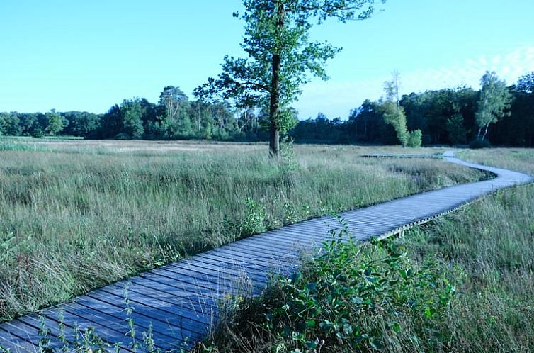 Vakantiehuisje in Epe