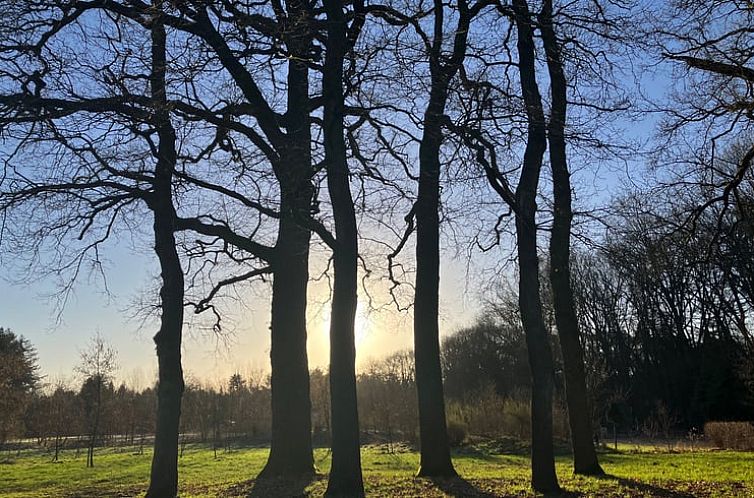 Vakantiehuisje in Epe