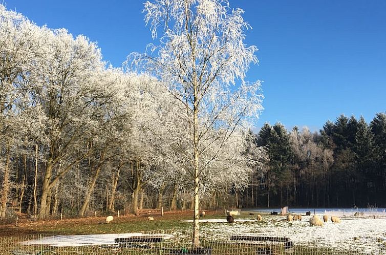 Vakantiehuisje in Epe
