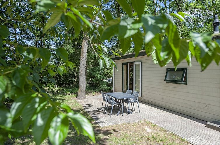 Unterkunft 3227135 - Ferienhaus Veluwe - «Chalet» SK4