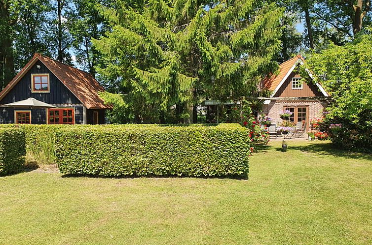 Huisje in Epe, vakantiehuis op de Veluwe, Gelderland met groene tuin en omringende natuur.