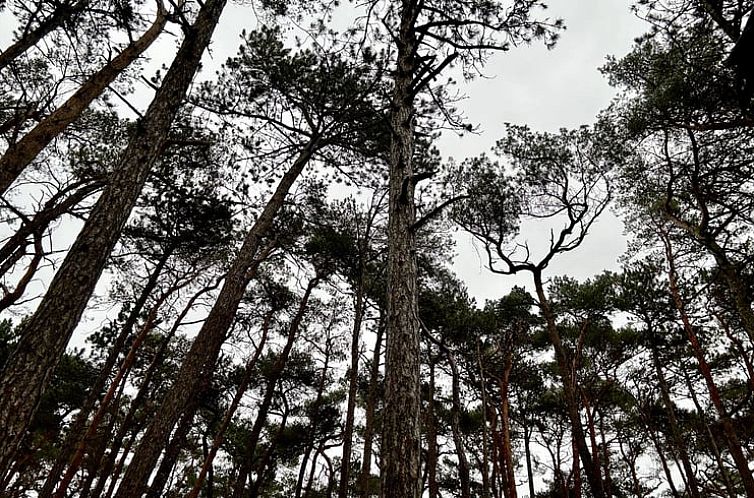 Vakantiehuis in Nunspeet