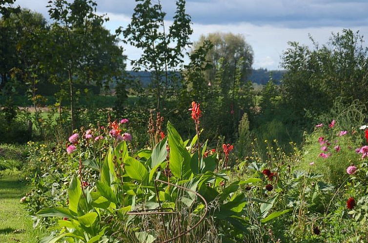 Vakantiehuis in De Steeg
