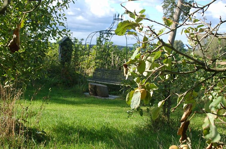 Vakantiehuis in De Steeg