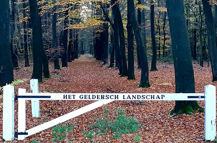 Vakantiehuisje in Heerde