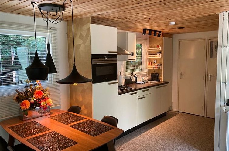 Vakantiehuis in Hattemerbroek