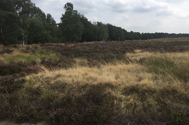 Vakantiehuisje in Bennekom