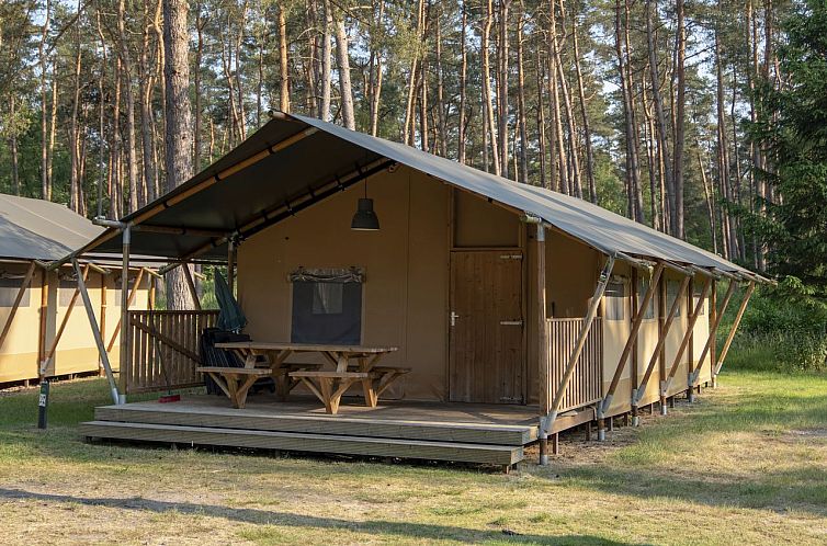 Coldenhove | 6-persoons safaritent | 6ST