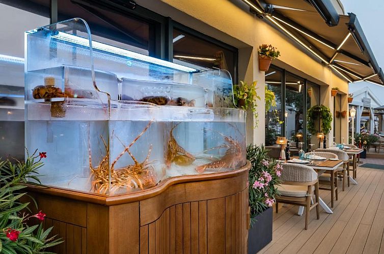 Valentin Star Menorca- Adults Only