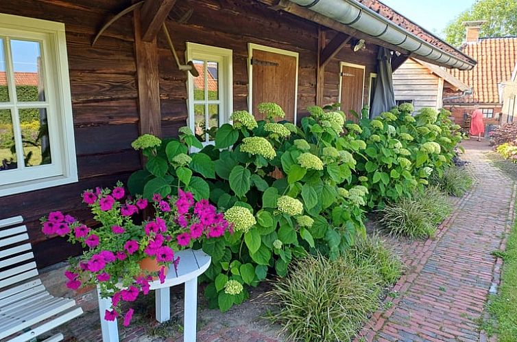 Charmante veranda bij Vakantiehuisje in Uithuizermeeden, Noordoost Groningen, omringd door bloemen en groen.
