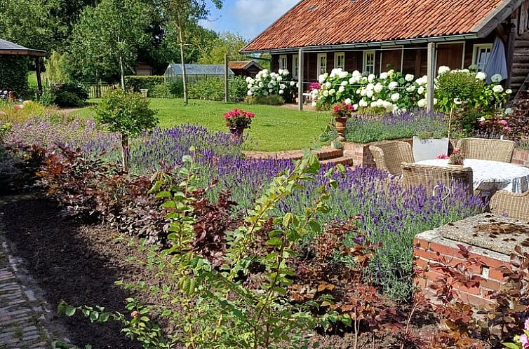 Vakantiehuisje in Uithuizermeeden