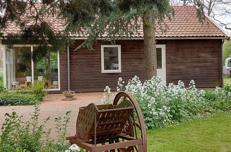 Chalet Wildemansheerd