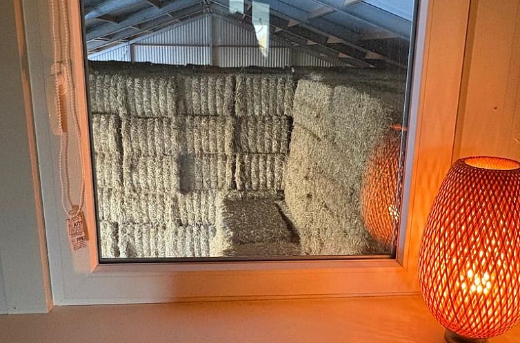 Vakantiehuisje in Schildwolde