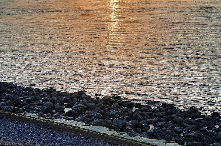 Robbenoort 101, 'de Zeearend'