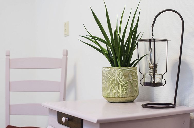 Appartement Delfzijl