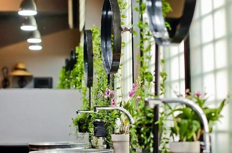 Bangkok Bed and Bike